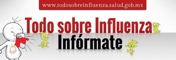 banner todo sobre la influenza